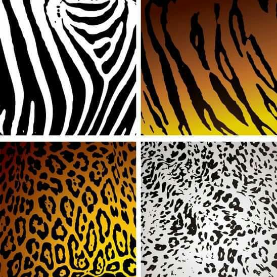Safari Lounge