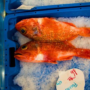 Banquisa Congelados Guerrero