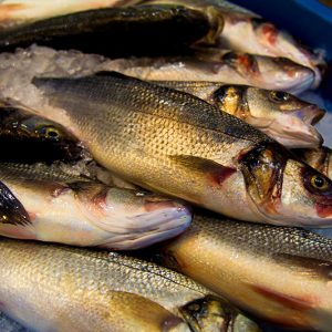 Banquisa Congelados Guerrero