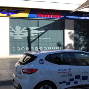 Segurisur