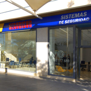 Segurisur