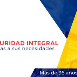 Segurisur
