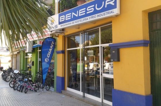 Benesur